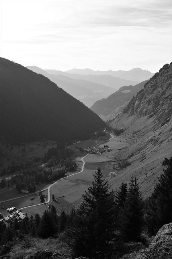 La Maizon Du Bois - Le Haut Appartement De 130 M2 - Le Bas Appartement De 70 M2 La Plagne Eksteriør bilde